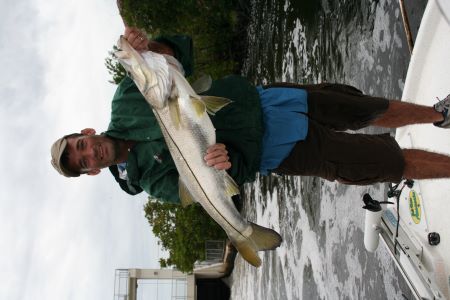 Snook