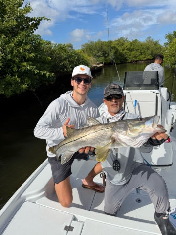 Snook